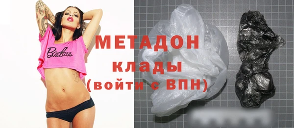 прущие грибы Богданович