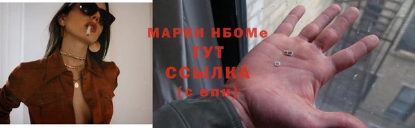 прущие грибы Богданович