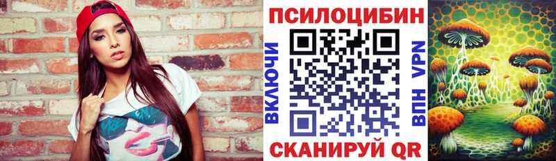 Псилоцибиновые грибы GOLDEN TEACHER  МЕГА зеркало  Бердск  как найти наркотики 